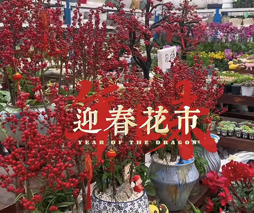 微信圖片_20250304160844_副本.jpg